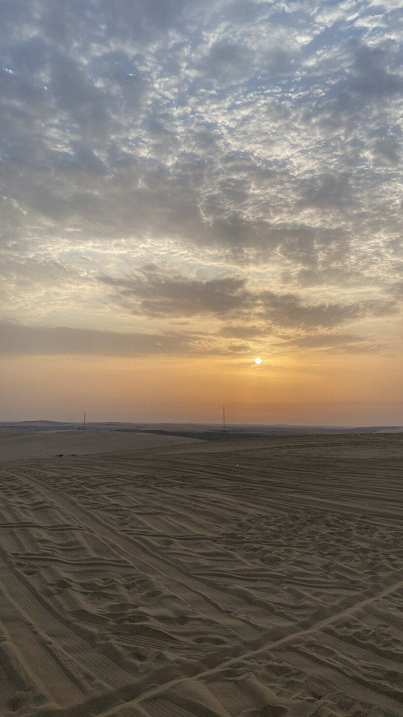 Doha: Sunrise or Sunset Desert Safari Dune Bashing, Camel Ride, and Inland Sea Views