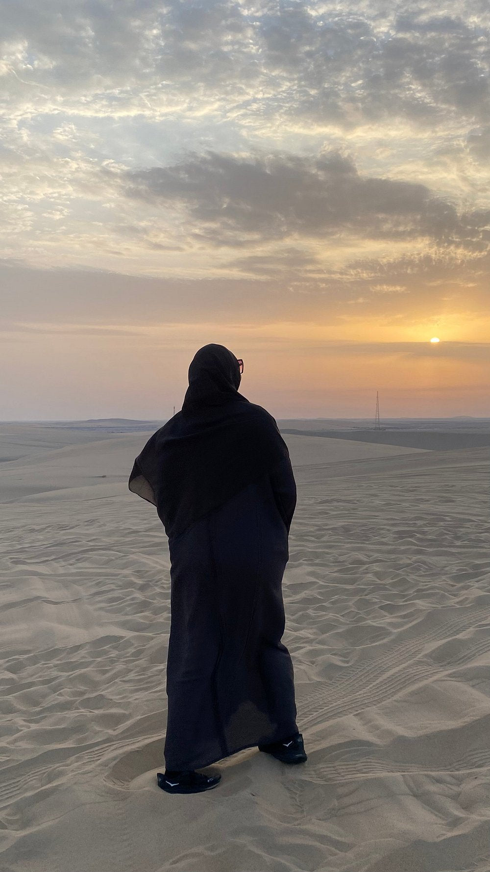 Doha: Sunrise or Sunset Desert Safari Dune Bashing, Camel Ride, and Inland Sea Views