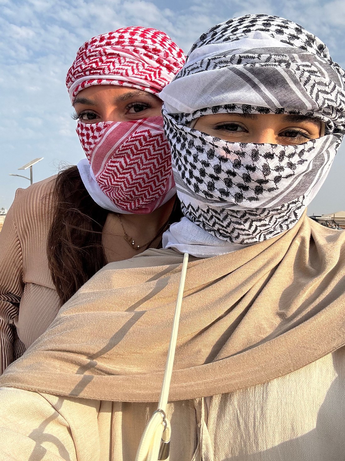 Doha: Sunrise or Sunset Desert Safari with Dune Bashing, Sandboarding and Inland Sea Trip