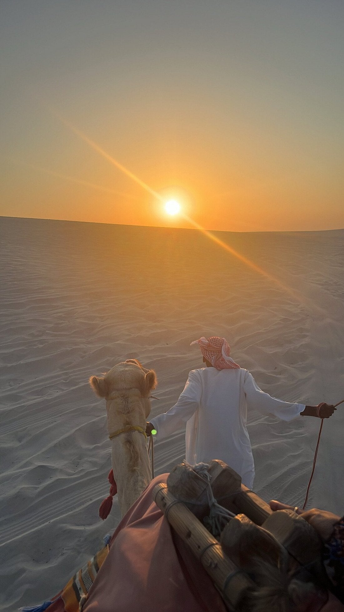 Doha: Sunrise or Sunset Desert Safari with Dune Bashing, Sandboarding and Inland Sea Trip