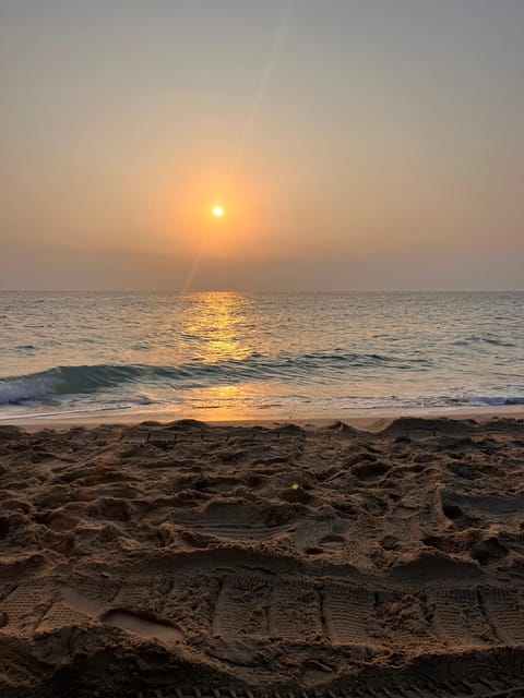 Doha: Sunrise or Sunset Desert Safari with Dune Bashing, Sandboarding and Inland Sea Trip