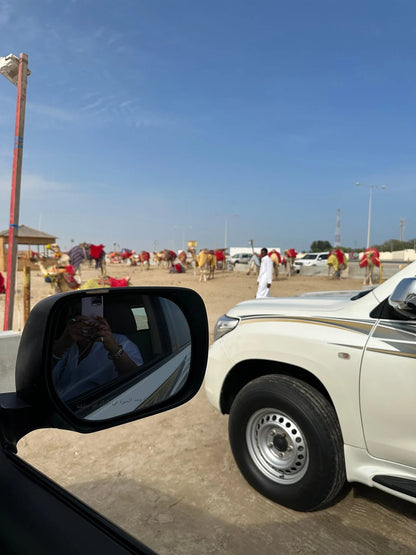 दोहा: डेजर्ट सफारी विद ड्यून बैशिंग, ऊंट की सवारी और सैंडबोर्डिंग