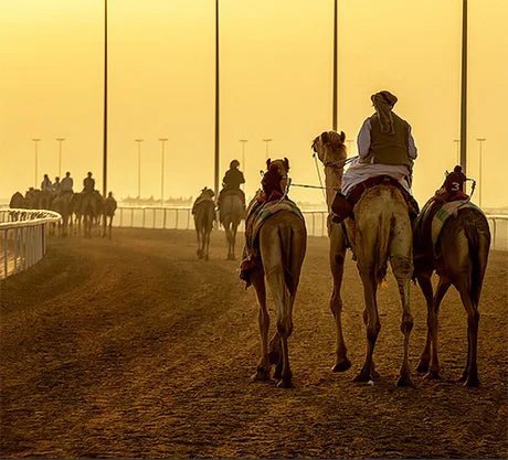 Doha: West Qatar Richard Serra and Mushroom Rock Private Tour