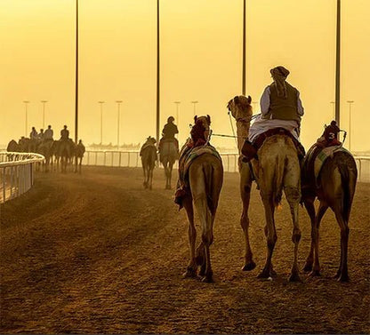 Doha: West Qatar Richard Serra and Mushroom Rock Private Tour