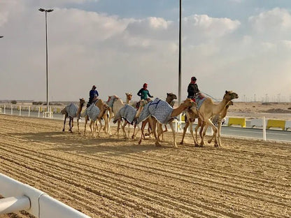 Doha: Zekreet, Camel Racetrack and Richard Serra Tour