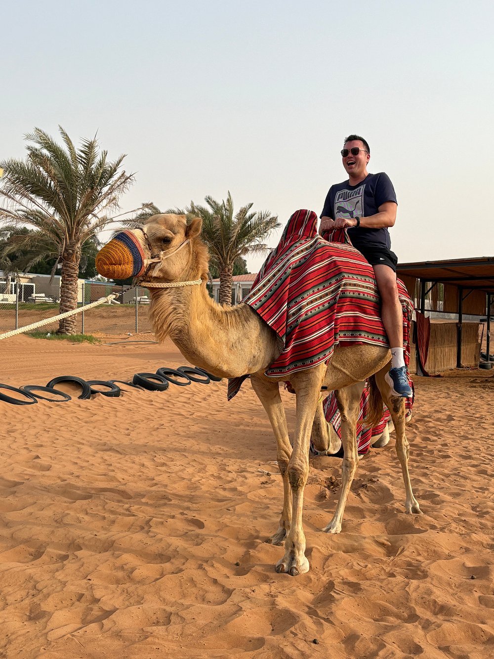 Dubai: 1 - Hour Can - Am Buggy Tour with Camel Ride and Sandboarding