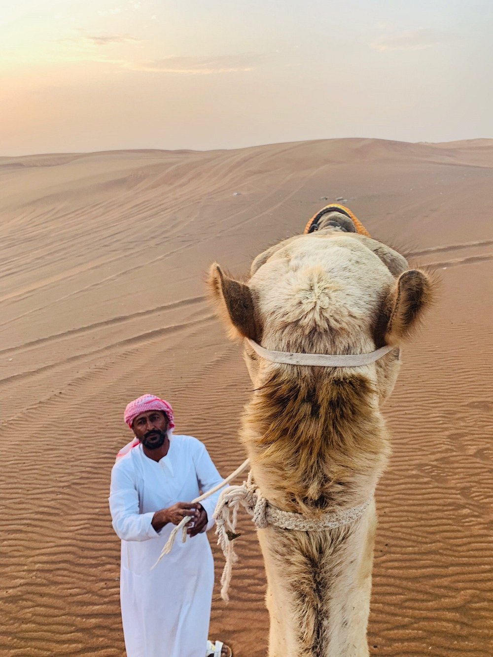 Dubai: 2000cc Dune Buggy Adventure in the Red Desert with Hotel Transfers