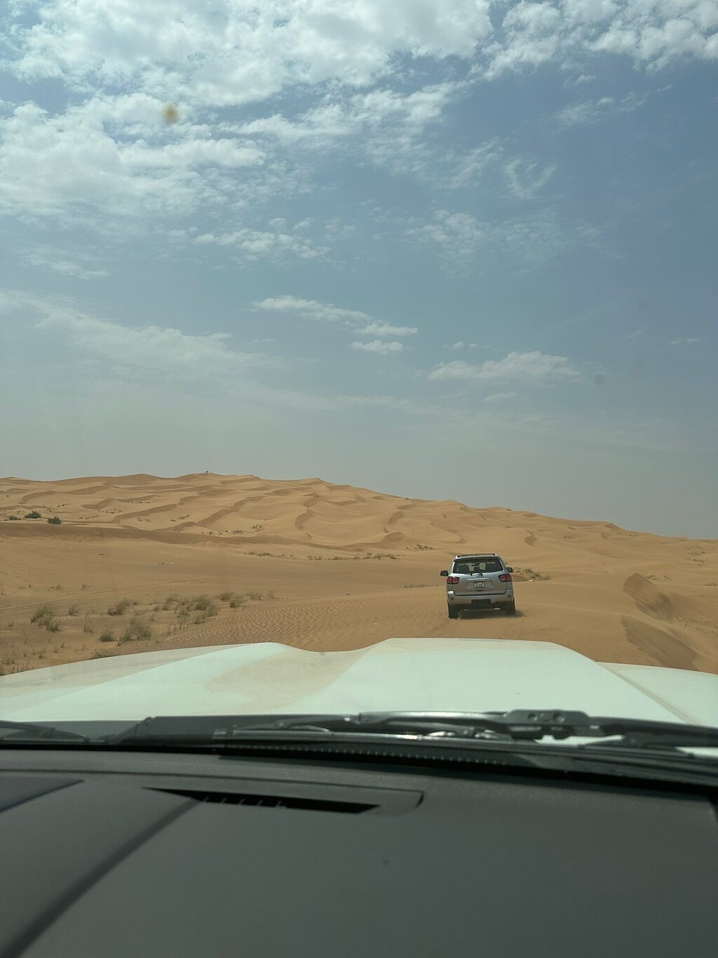 Dubai: 4 - Hour Morning Red Dune Safari with Sandboarding and Camel Ride