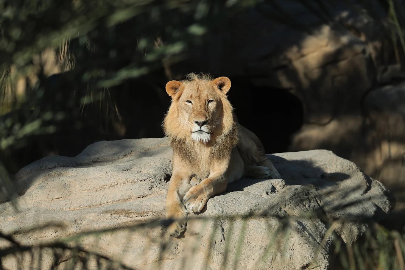Dubai: Al Ain Garden City Day Trip with Zoo and Jebel Hafeet