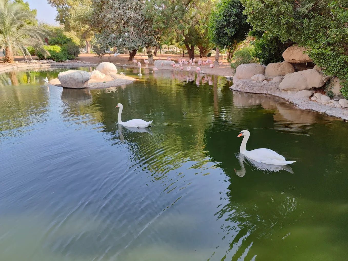 Dubai: Al Ain Garden City Day Trip with Zoo and Jebel Hafeet