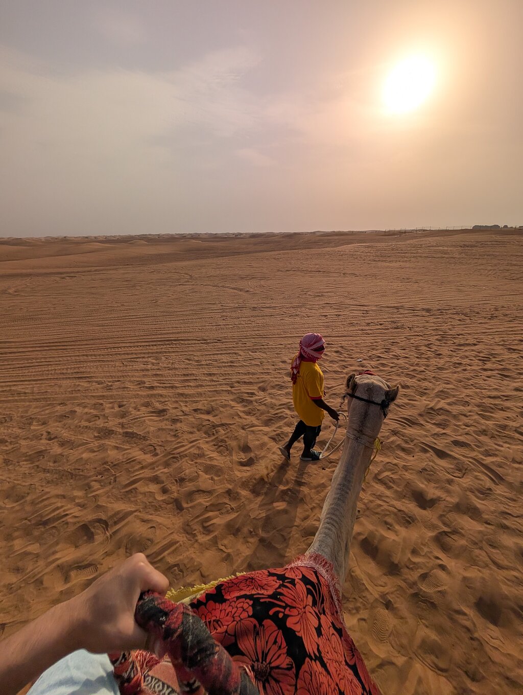 Dubai: Al Madam Red Dunes Desert Safari and Camp Activities