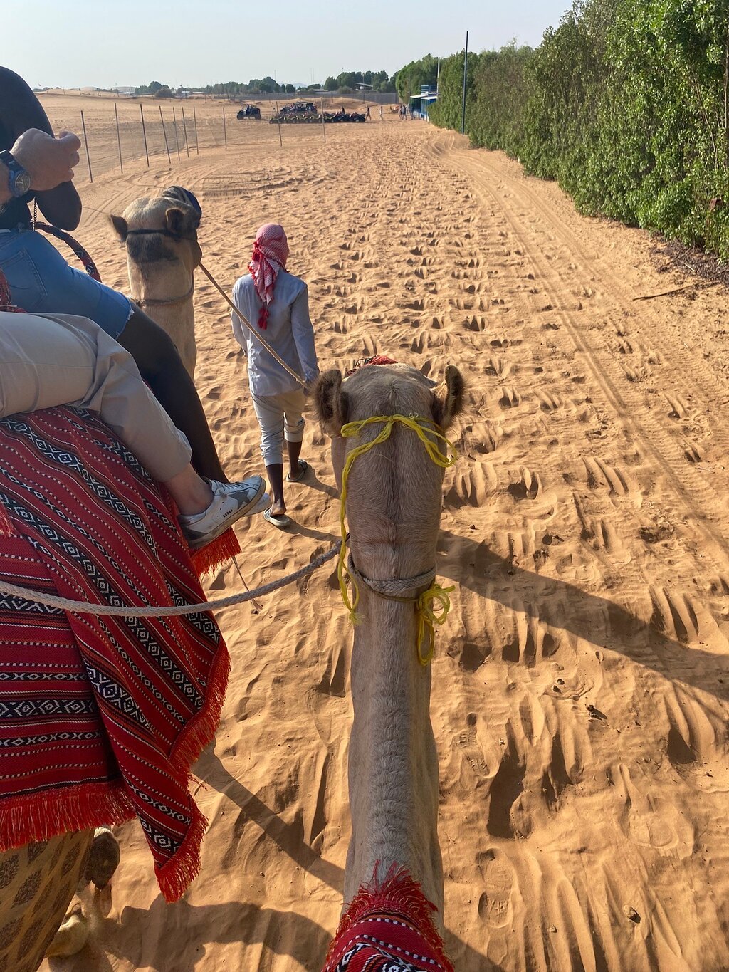 Dubai: Al Madam Red Dunes Desert Safari and Camp Activities