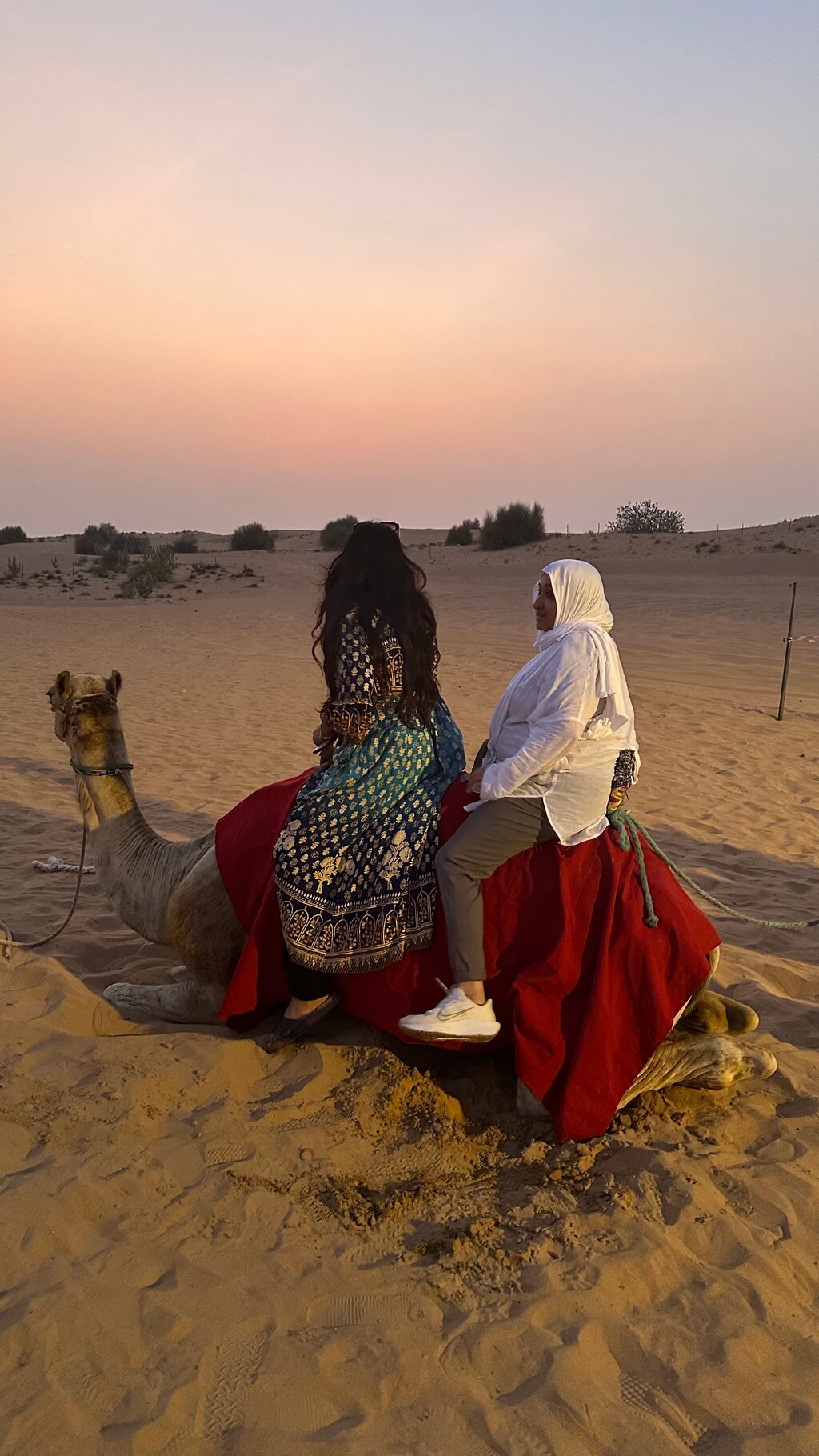 Dubai: Al Madam Red Dunes Desert Safari and Camp Activities