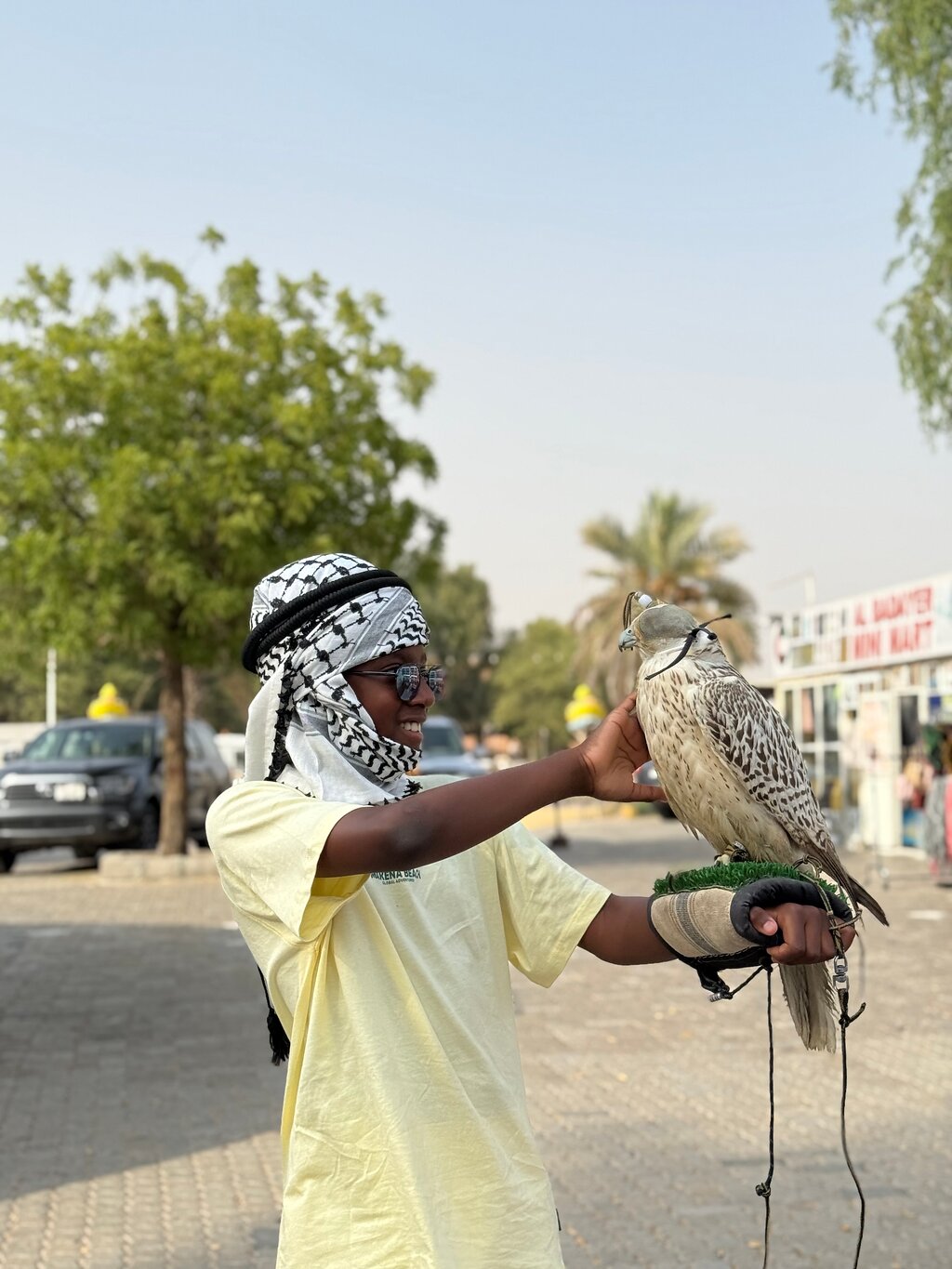 Dubai: Al Madam Red Dunes Desert Safari and Camp Activities