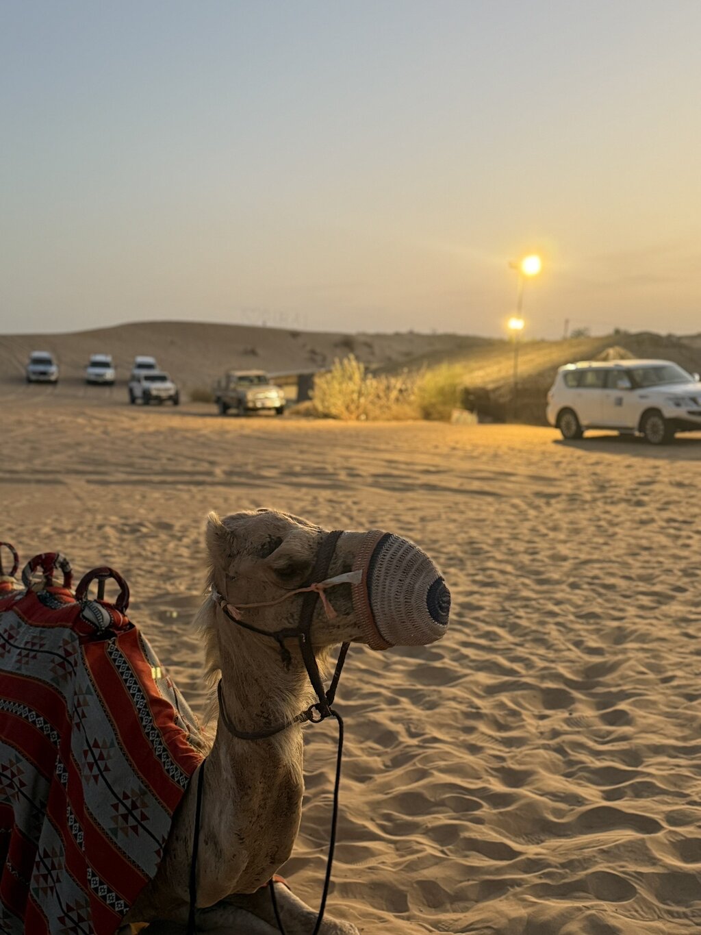 Dubai: Al Madam Red Dunes Desert Safari and Camp Activities
