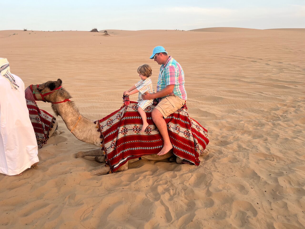 Dubai: Desert Dinner with Camel Ride, BBQ and Live Shows