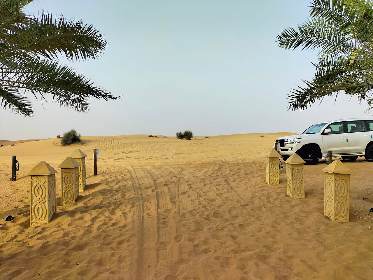 Dubai: Desert Dinner with Camel Ride, BBQ and Live Shows