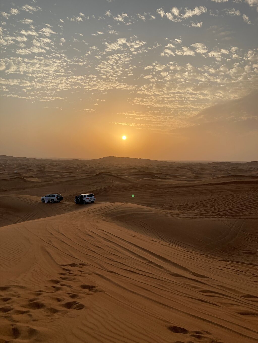 Dubai: Desert Dinner with Camel Ride, BBQ and Live Shows