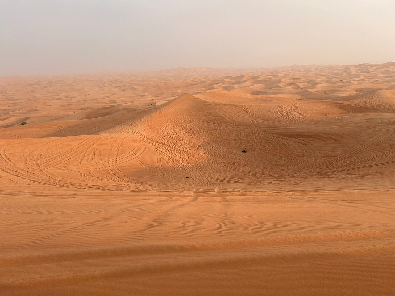 Dubai: Desert Dinner with Camel Ride, BBQ and Live Shows