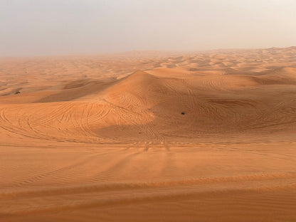 Dubai: Desert Dinner with Camel Ride, BBQ and Live Shows