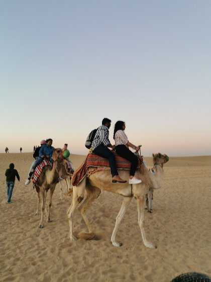 Dubai: Desert Dinner with Camel Ride, BBQ and Live Shows
