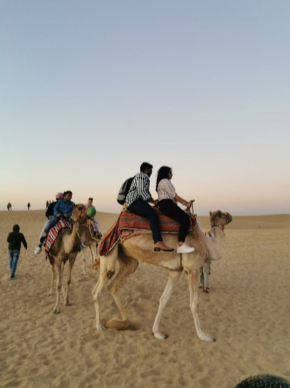 Dubai: Desert Dinner with Camel Ride, BBQ and Live Shows