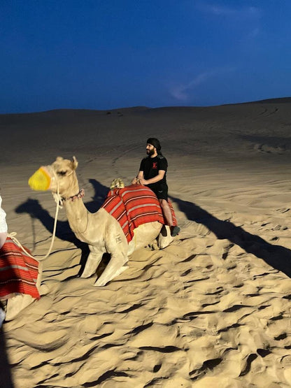 Dubai: Desert Dinner with Camel Ride, BBQ and Live Shows
