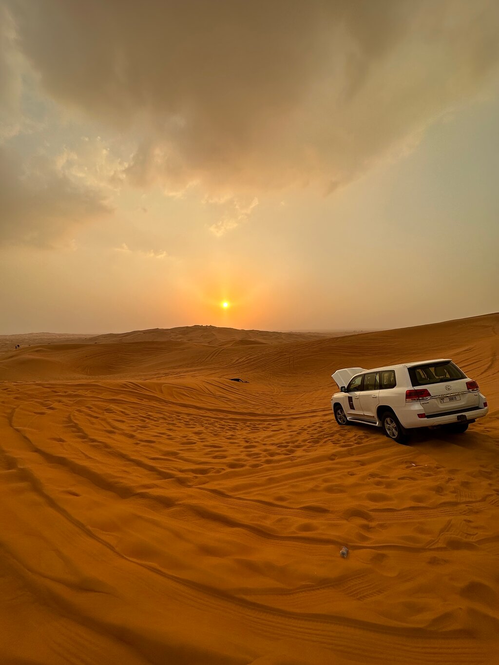 Dubai: Desert Dinner with Camel Ride, BBQ and Live Shows