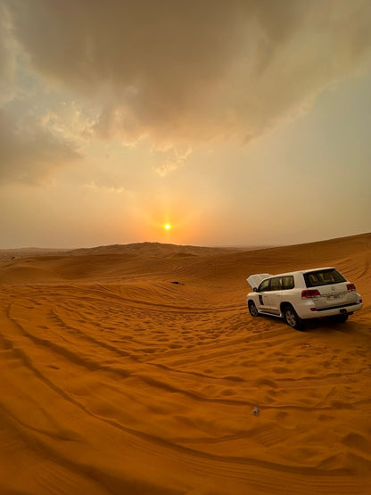 Dubai: Desert Dinner with Camel Ride, BBQ and Live Shows