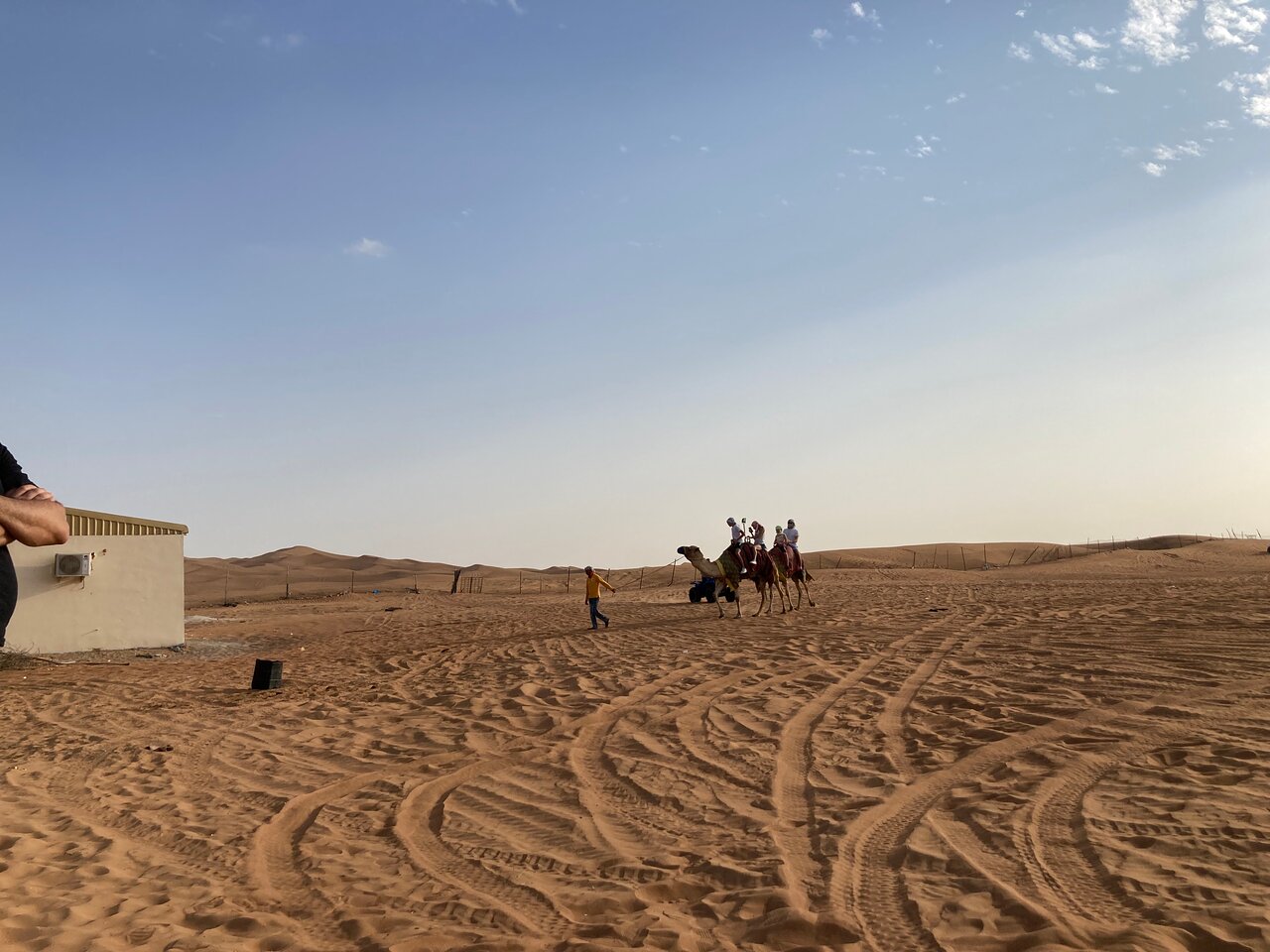Dubai: Desert Dinner with Camel Ride, BBQ and Live Shows