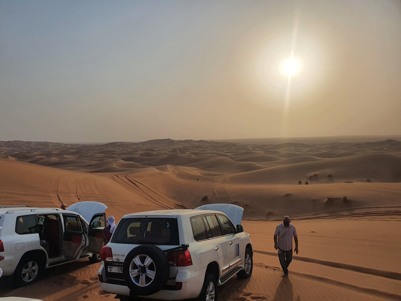 Dubai: Desert Safari with Dune Bashing and Camel Ride