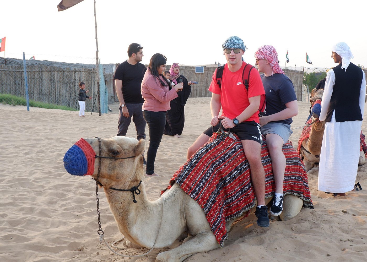 Dubai: Desert Safari with Dune Bashing and Camel Ride