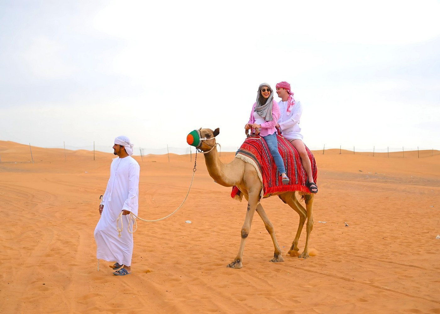 Dubai: Desert Safari with Dune Bashing and Camel Ride