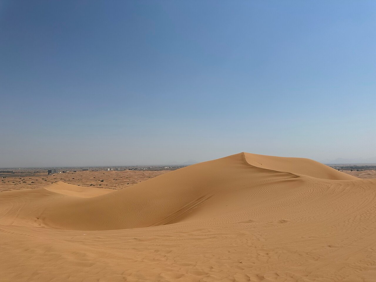 Dubai: Desert Safari with Dune Bashing and Camel Ride