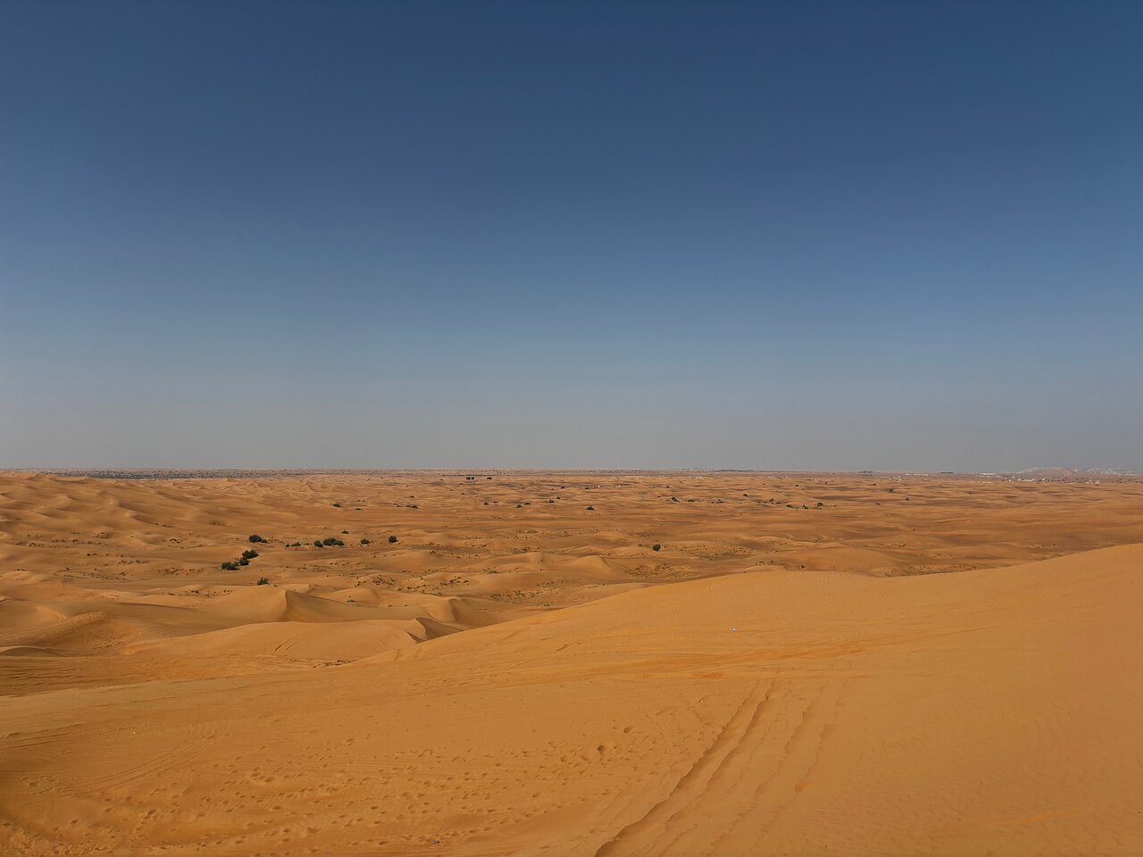 Dubai: Desert Safari with Dune Bashing and Camel Ride