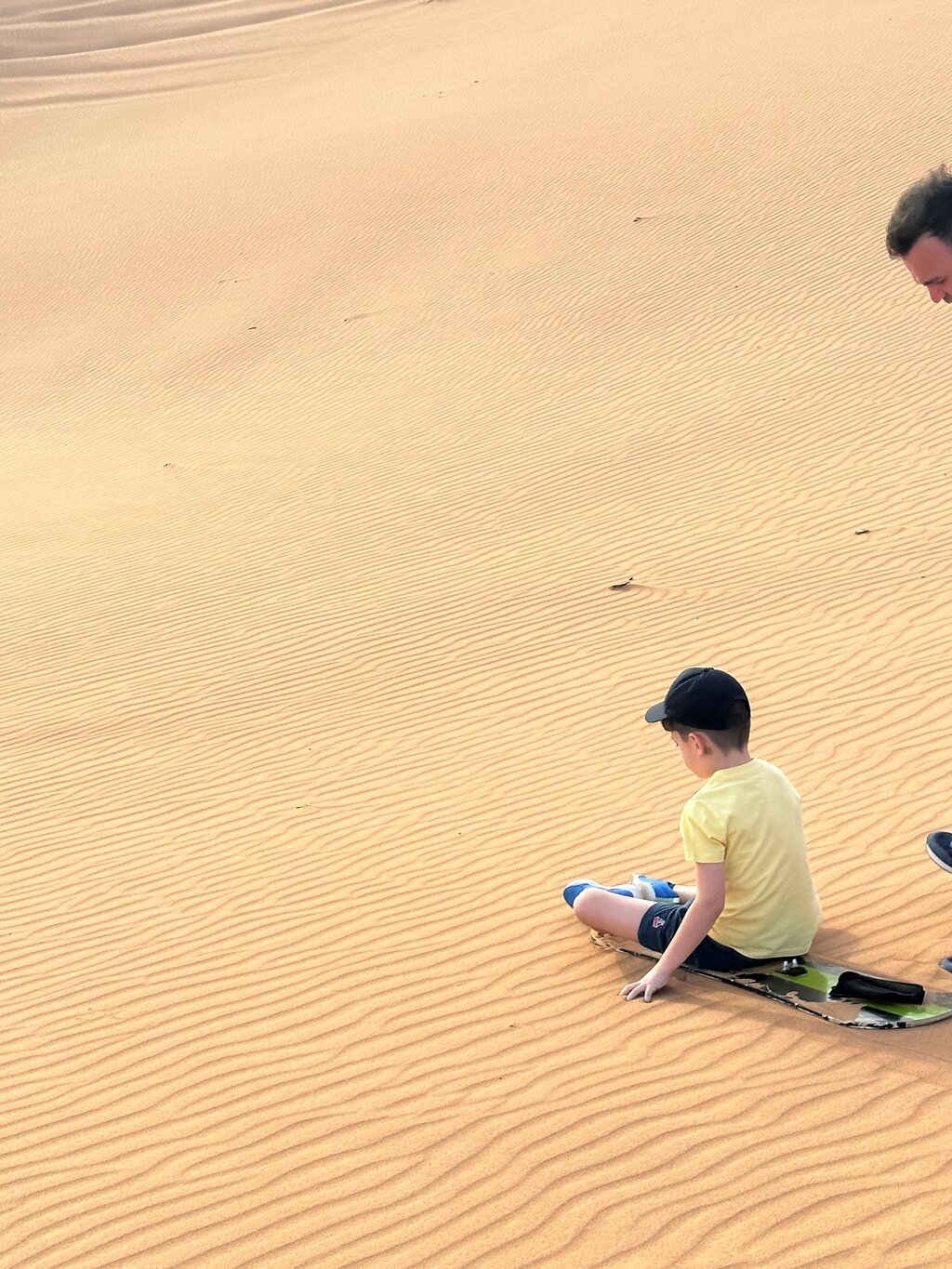 Dubai: Desert Safari with Dune Bashing and Camel Ride