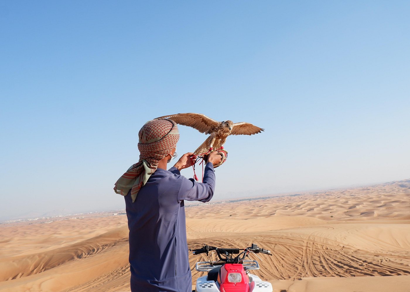 Dubai: Desert Safari with Dune Bashing and Camel Ride