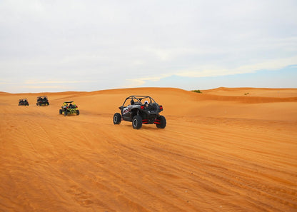 Dubai: Desert Safari with Dune Buggy Ride