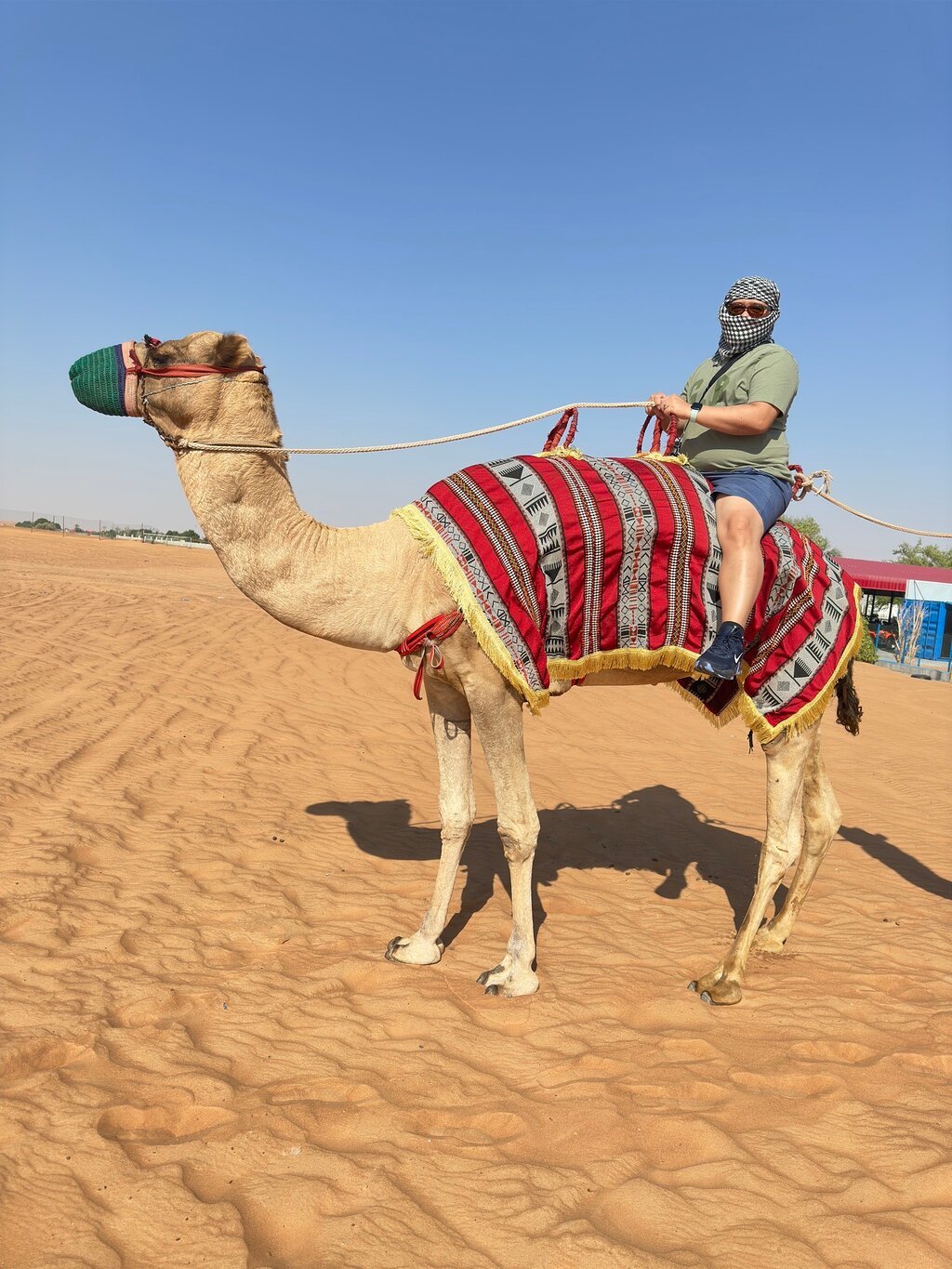 Dubai: Mid - Day Desert Safari with Brunch, Camel Ride and Quad Bike Options
