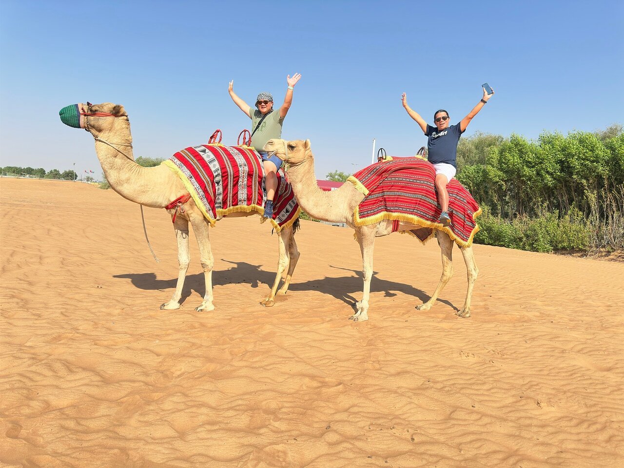 Dubai: Mid - Day Desert Safari with Brunch, Camel Ride and Quad Bike Options