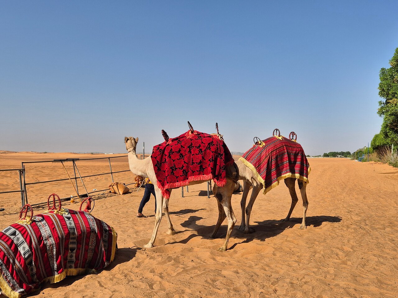 Dubai: Mid - Day Desert Safari with Brunch, Camel Ride and Quad Bike Options