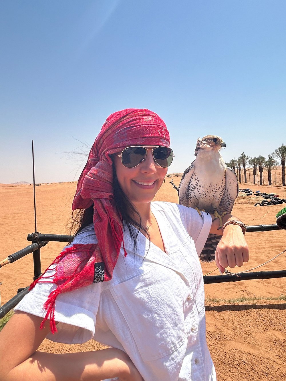 Dubai: Morning Desert Safari with Quad Bike, Sandboarding and Camel Ride