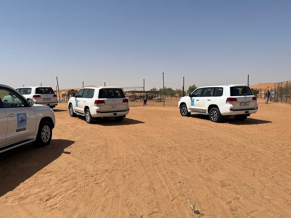 Dubai: Morning Desert Safari with Quad Bike, Sandboarding and Camel Ride