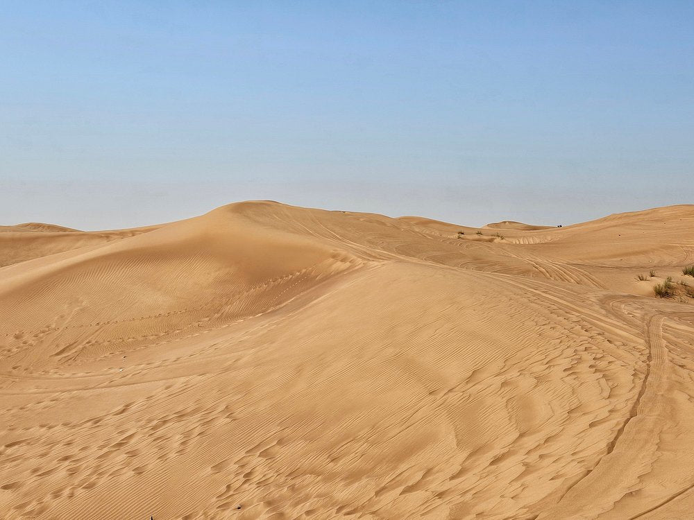 Dubai: Morning Desert Safari with Quad Bike, Sandboarding and Camel Ride