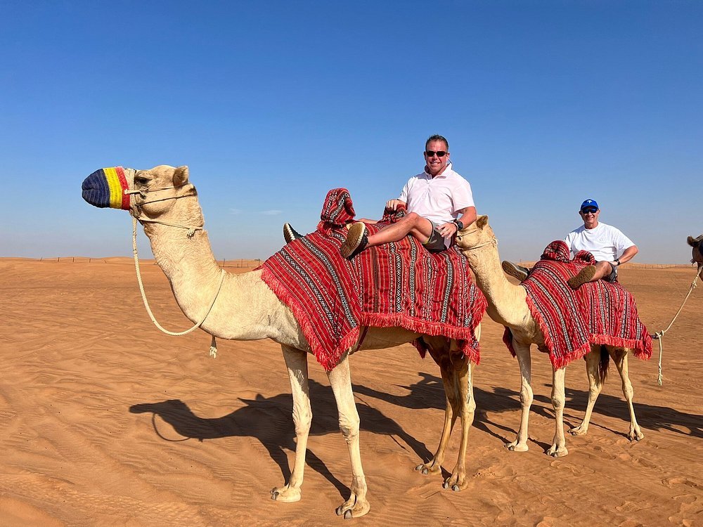 Dubai: Morning Desert Safari with Quad Bike, Sandboarding and Camel Ride