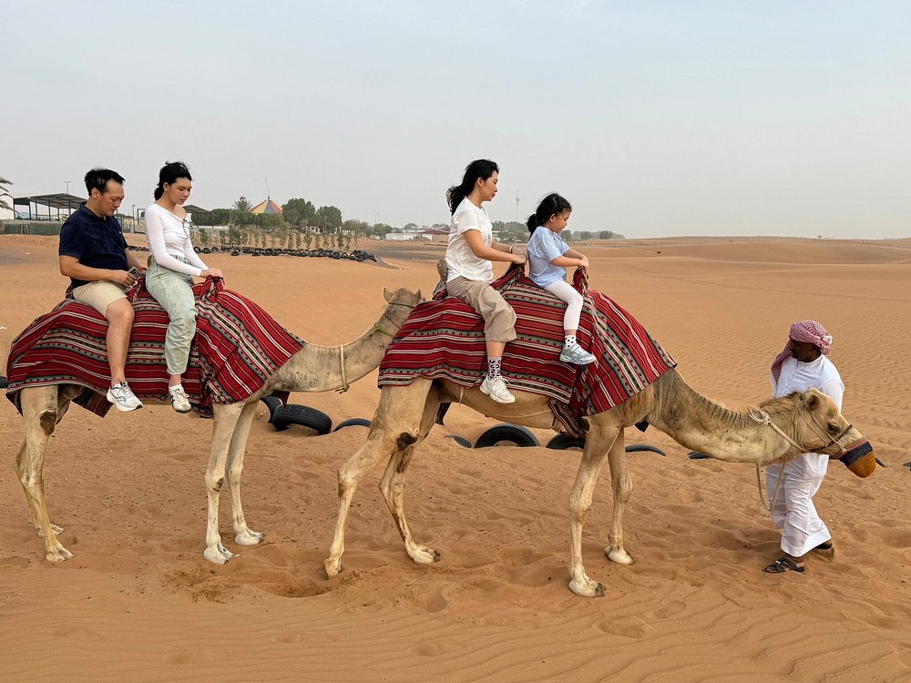 Dubai: Morning Red Dune Safari with Camel Ride, Sandboarding, and Optional Quad Bike
