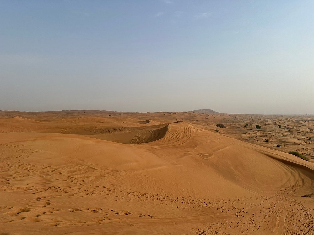 Dubai: Morning Red Dune Safari with Camel Ride, Sandboarding, and Optional Quad Bike