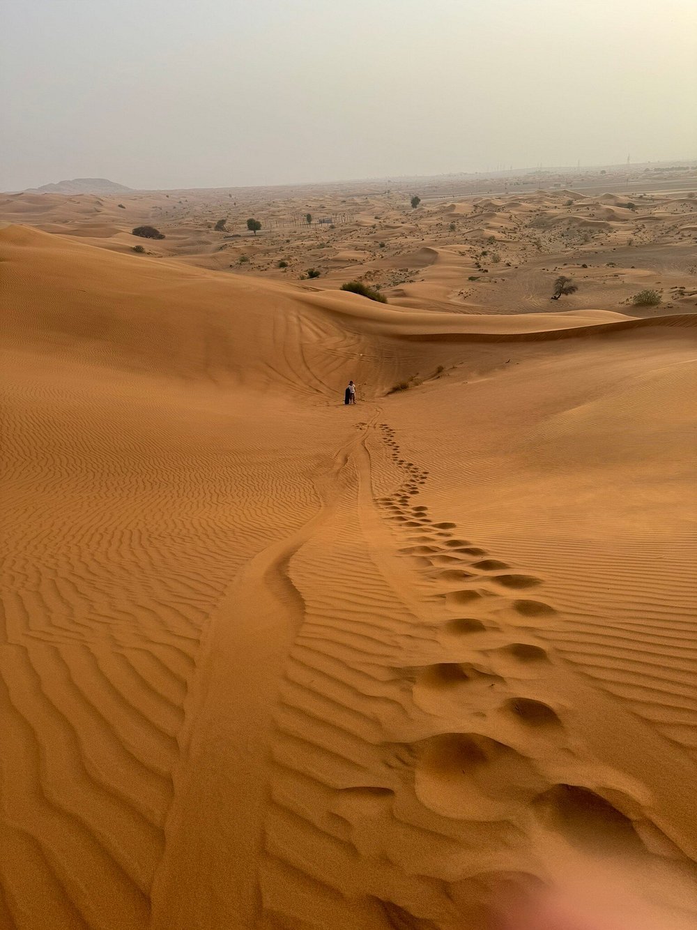 Dubai: Morning Red Dune Safari with Camel Ride, Sandboarding, and Optional Quad Bike