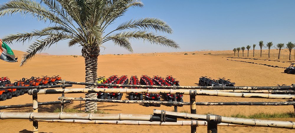 Dubai: Morning Red Dune Safari with Camel Ride, Sandboarding, and Optional Quad Bike