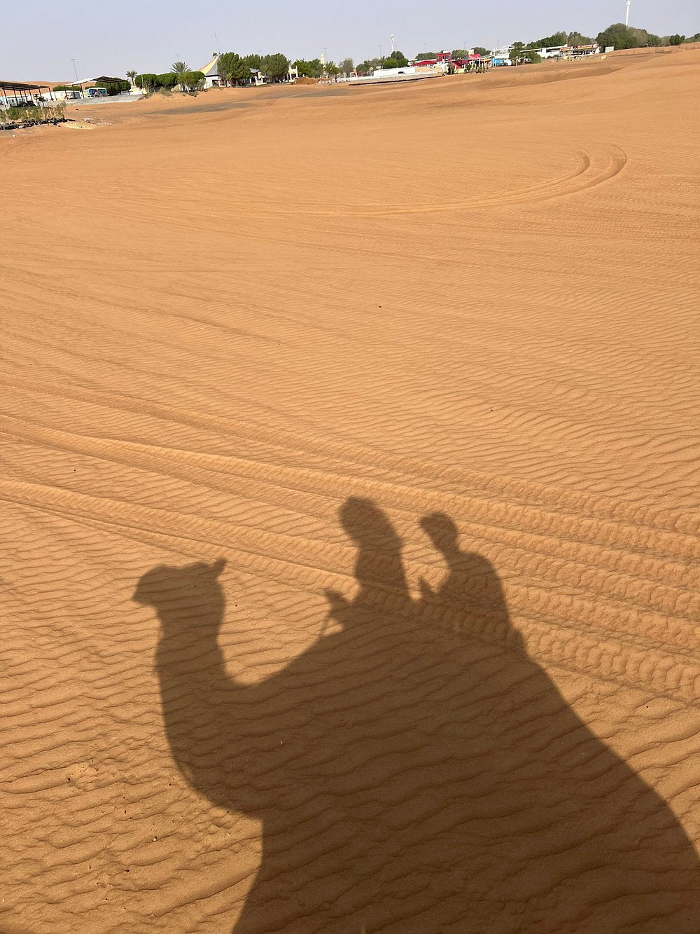 Dubai: Morning Red Dune Safari with Camel Ride, Sandboarding, and Optional Quad Bike